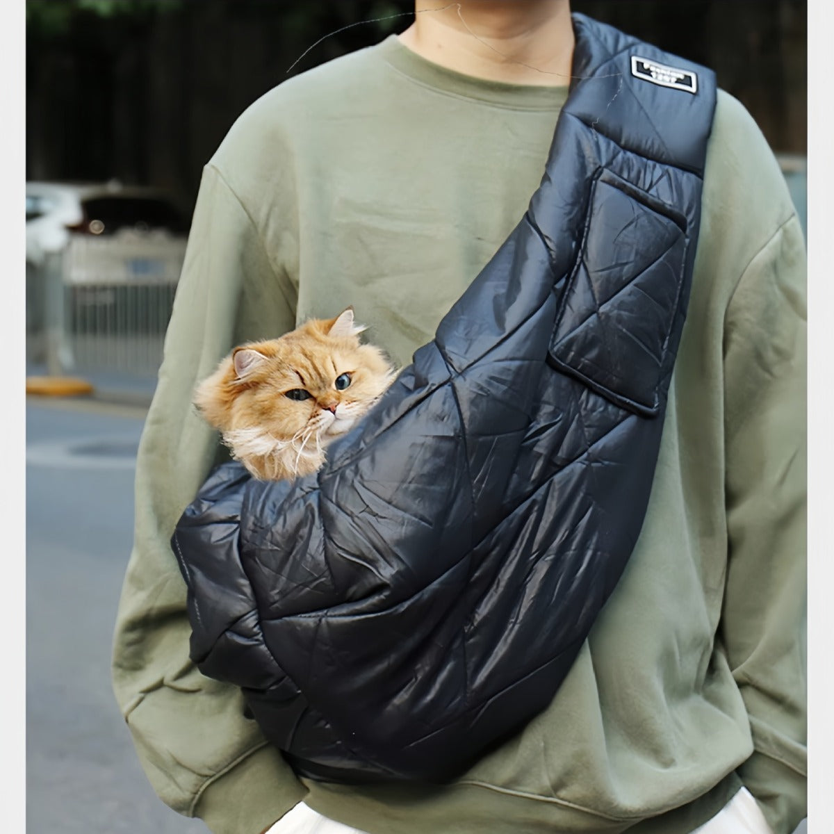 Dog & Cat Carrier Bag