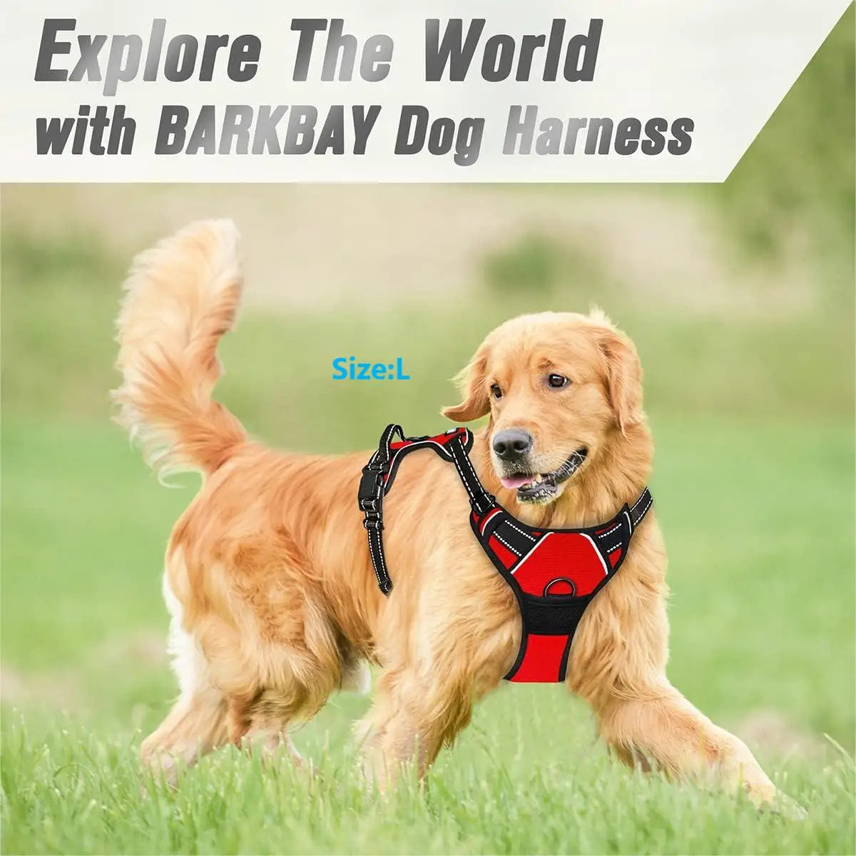 Adjustable No-Pull Dog Harness with Front Clip