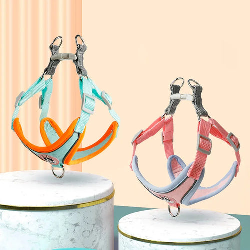 Adjustable Dog Harness & Leash Set for Small Dogs