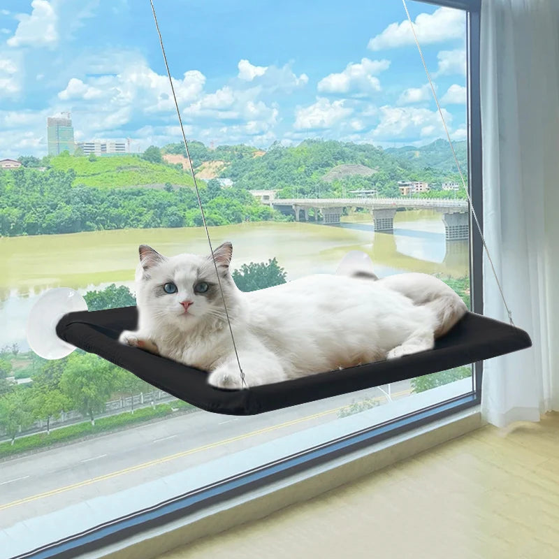 Cat Window Hammock Bed