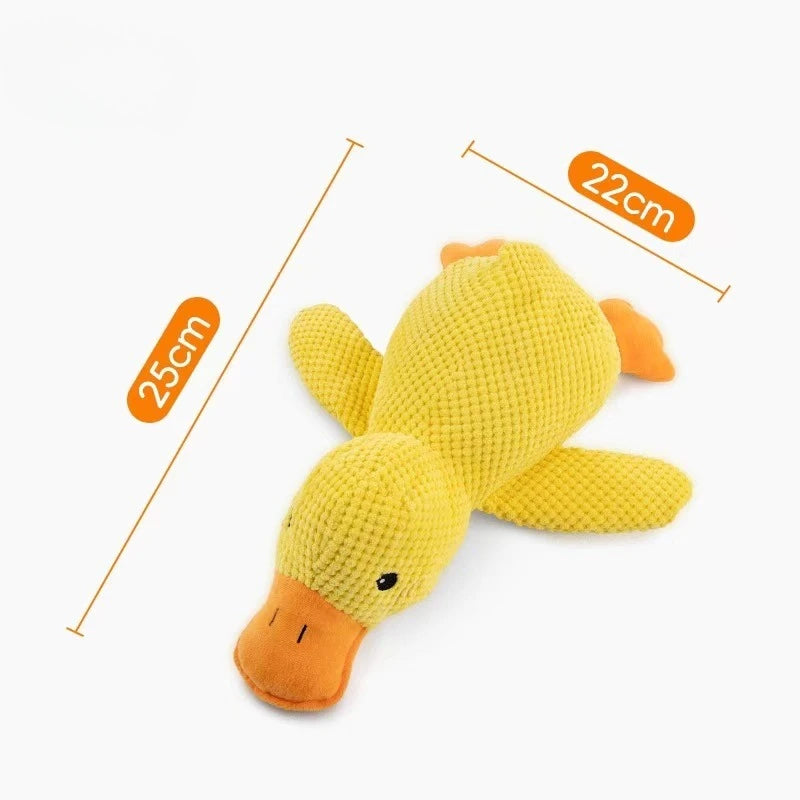 Chew Toy for Cats & Dogs – Squeaky Pet Toy