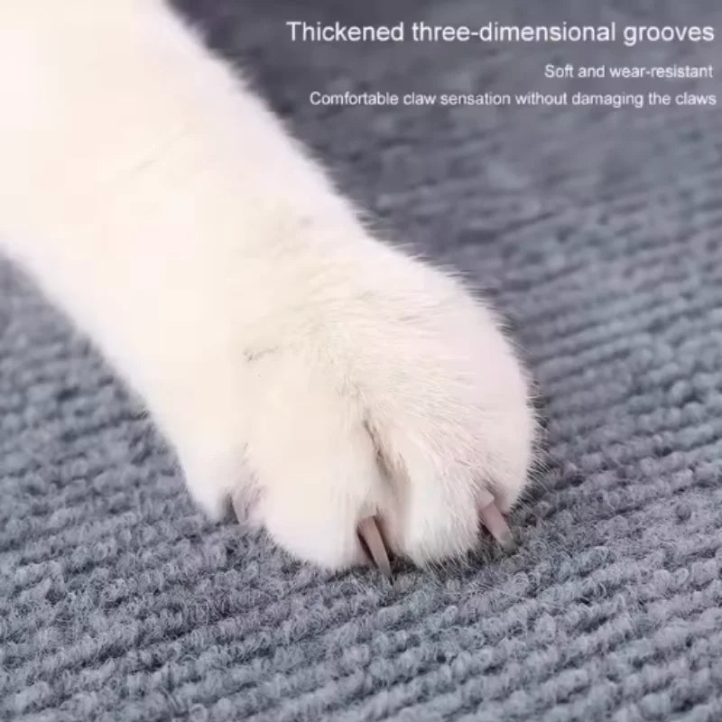 Cat Scratching Mat