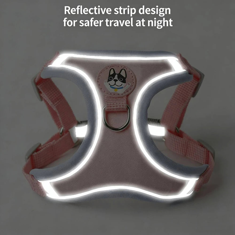 Adjustable Dog Harness & Leash Set for Small Dogs