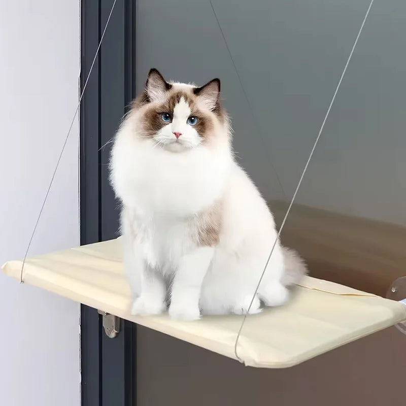Cat Window Hammock Bed