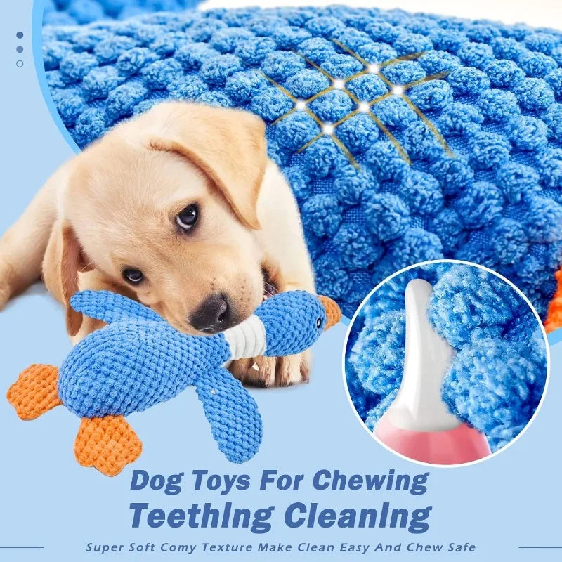 Chew Toy for Cats & Dogs – Squeaky Pet Toy