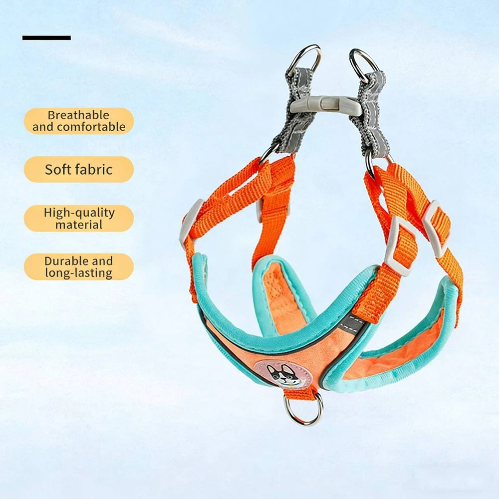 Adjustable Dog Harness & Leash Set for Small Dogs