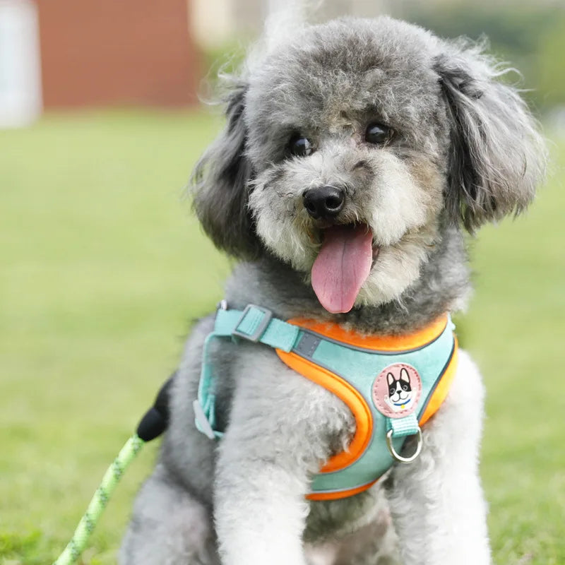 Adjustable Dog Harness & Leash Set for Small Dogs
