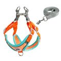 Adjustable Dog Harness & Leash Set for Small Dogs