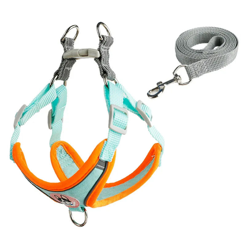 Adjustable Dog Harness & Leash Set for Small Dogs