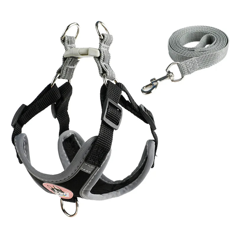 Adjustable Dog Harness & Leash Set for Small Dogs