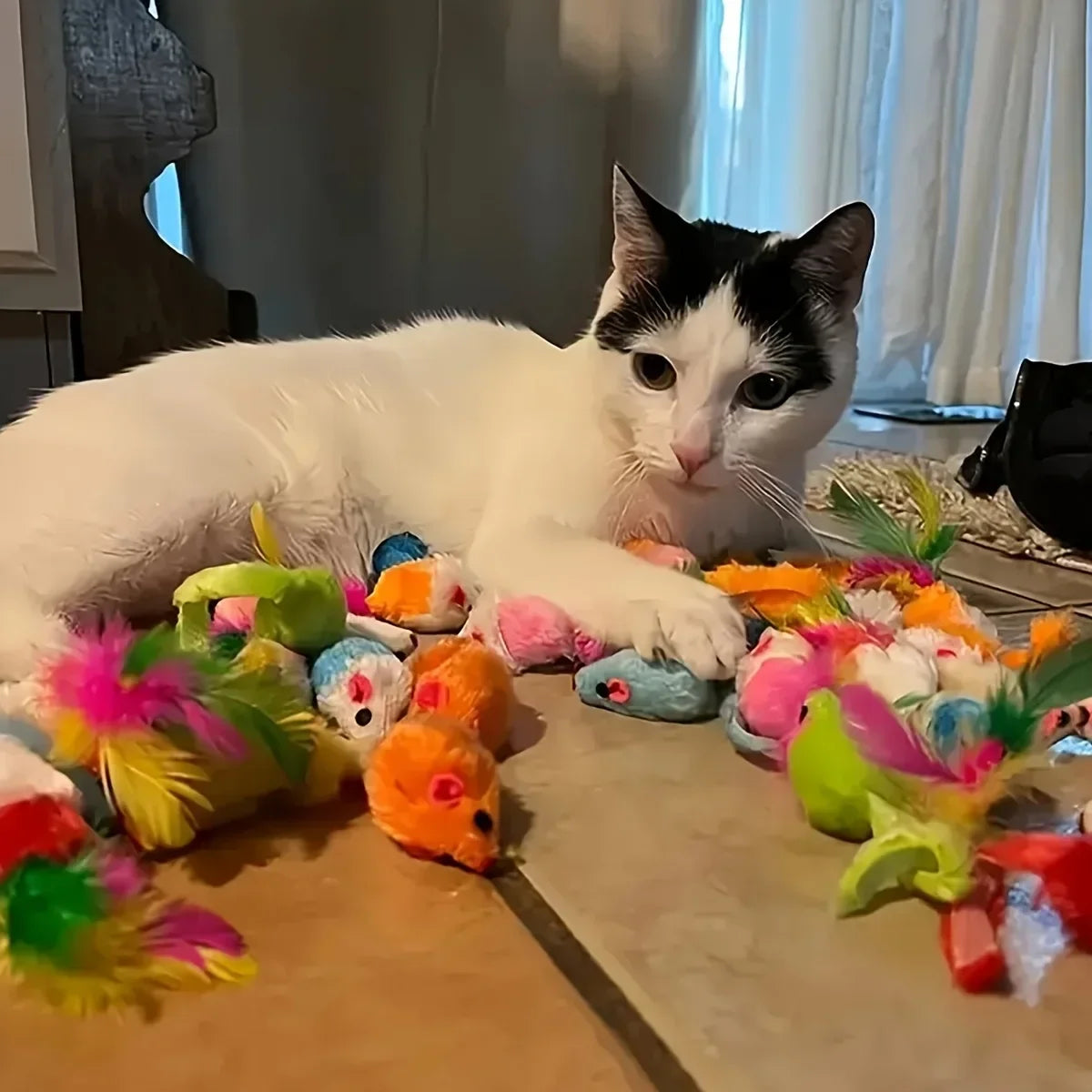 56/28/14 PCS Cat Toys Variety Pack