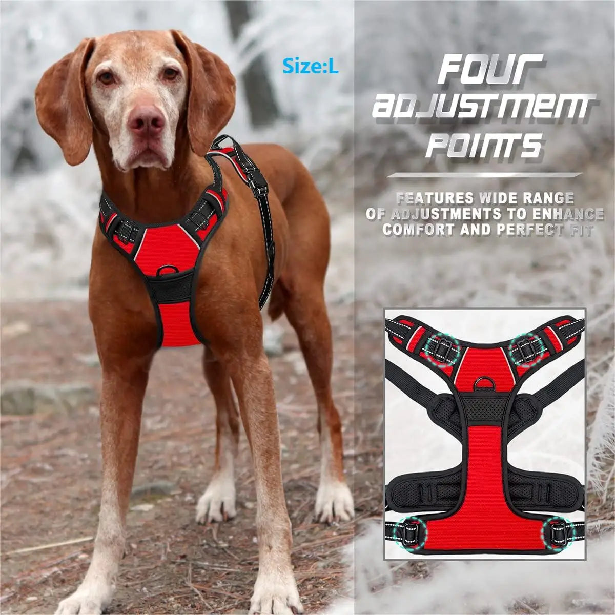 Adjustable No-Pull Dog Harness with Front Clip